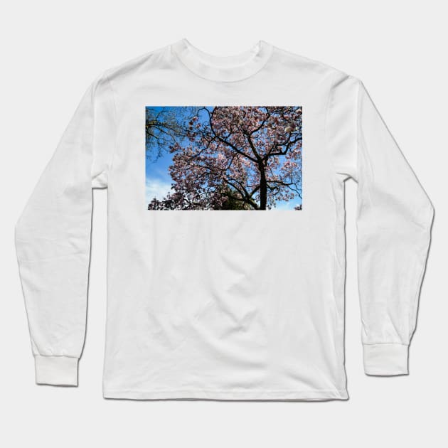 Tree in Bloom Long Sleeve T-Shirt by srosu